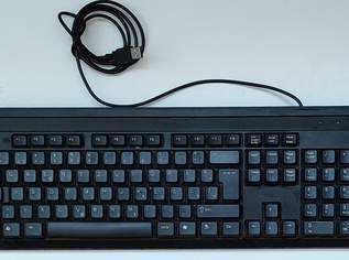 Microsoft und Speedlink Tastatur/Keyboards