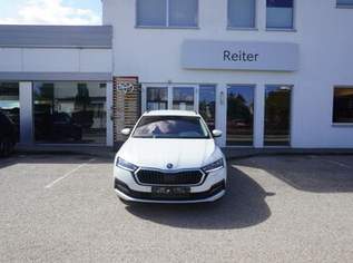 Octavia Combi 2,0 TDI DSG *LED*ACC*AHK*, 17490 €, Auto & Fahrrad-Autos in 4600 Wels
