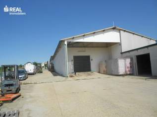 Versteigerung: großzügiger Weinguts-Betriebsstandort mit Hallen und Lagerflächen, 2620000 €, Immobilien-Gewerbeobjekte in 7122 Gols Versteigerung: großzügiger Weinguts-Betriebsstandort mit Hallen und Lagerflächen, 2620000 €, Immobilien-Gewerbeobjekte in 7122 Gols