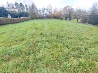KEIN Bauzwang ! Großes, ebenes Grundstück, 168000 €, Immobilien-Grund und Boden in 3300 Greinsfurth