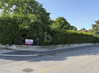 AUFGESCHLOSSEN - SONNIGES, EBENES ECKGRUNDSTÜCK MIT ALTBAUMBESTAND, 176000 €, Immobilien-Grund und Boden in 7072 Mörbisch am See