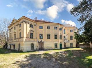 Schloss Thürnlhof bestandsfrei mit jahrhundertealter Geschichte und Entwicklungspotential Verkauf aus Privatbesitz, 5000000 €, Immobilien-Häuser in 1110 Simmering Schloss Thürnlhof bestandsfrei mit jahrhundertealter Geschichte und Entwicklungspotential Verkauf aus Privatbesitz, 5000000 €, Immobilien-Häuser in 1110 Simmering