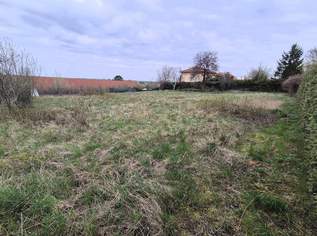Traumgrundstück in Hainburg/Donau, 210000 €, Immobilien-Grund und Boden in 2410 Gemeinde Hainburg an der Donau