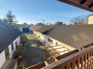 Gartenwohnung- Ruheoase- Sofortbezug möglich!, 910 €, Immobilien-Wohnungen in 2201 Gerasdorf bei Wien