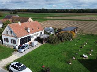 Traum vom leistbaren Haus im SÜDBURGENLAND, 94000 €, Immobilien-Häuser in 7474 Deutsch Schützen Traum vom leistbaren Haus im SÜDBURGENLAND, 94000 €, Immobilien-Häuser in 7474 Deutsch Schützen