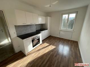 Neu sanierte 3-Zimmer-Wohnung ab 15.05 bezugsfertig, 549.52 €, Immobilien-Wohnungen in 3150 Gemeinde Wilhelmsburg