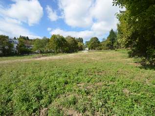 CHRISTOPH CHROMECEK IMMOBILIEN - HINTERBRÜHL - Villenbaugrund im XL-Format, 2305650 €, Immobilien-Grund und Boden in 2371 Katastralgemeinde Hinterbrühl CHRISTOPH CHROMECEK IMMOBILIEN - HINTERBRÜHL - Villenbaugrund im XL-Format, 2305650 €, Immobilien-Grund und Boden in 2371 Katastralgemeinde Hinterbrühl