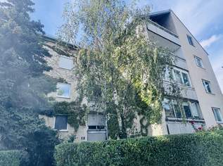 Großzügige, helle 2-Zimmer-Wohnung in Grünruhelage nahe Türkenschanzpark, 494000 €, Immobilien-Wohnungen in 1180 Währing Großzügige, helle 2-Zimmer-Wohnung in Grünruhelage nahe Türkenschanzpark, 494000 €, Immobilien-Wohnungen in 1180 Währing