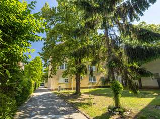 Gepflegte, ruhige, teilmöblierte Arbeiterwohnung im Zentrum von Schwechat, 686 €, Immobilien-Wohnungen in 2320 Schwechat Gepflegte, ruhige, teilmöblierte Arbeiterwohnung im Zentrum von Schwechat, 686 €, Immobilien-Wohnungen in 2320 Schwechat