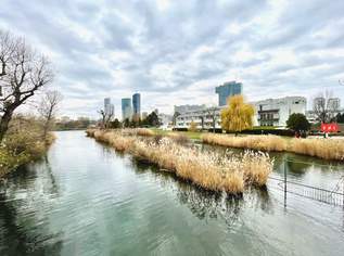 Wohnen am Freizeitparadies Alte Donau Nähe UNO-City, 1190 €, Immobilien-Wohnungen in 8042 Wohnen am Freizeitparadies Alte Donau Nähe UNO-City, 1190 €, Immobilien-Wohnungen in 8042