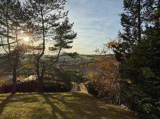 großer Baugrund in Ruhelage, idyllischer Ausblick, 499000 €, Immobilien-Grund und Boden in 2384 Breitenfurt