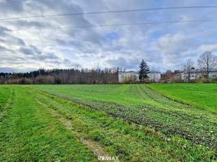 landwirtschaftlicher Nutzgrund, 41790 €, Immobilien-Gewerbeobjekte in 4971 Aurolzmünster