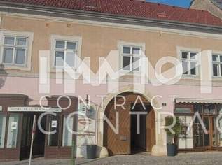 EHEMALIGES WINZERHAUS IM ZENTRUM VON LANGENLOIS, 830000 €, Immobilien-Häuser in 3550 Gemeinde Langenlois EHEMALIGES WINZERHAUS IM ZENTRUM VON LANGENLOIS, 830000 €, Immobilien-Häuser in 3550 Gemeinde Langenlois