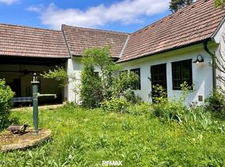 Historisches Anwesen mit unberührtem Waldparadies!, 295000 €, Immobilien-Häuser in 2114 Hornsburg