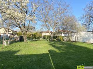 "großzügiges Baugrundstück direkt im Ortskern", 329000 €, Immobilien-Grund und Boden in 2440 Gemeinde Gramatneusiedl