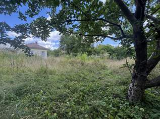 1210! Sonniges Grundstück auf EIGENGRUND in schöner Kleingartenanlage!, 239000 €, Immobilien-Grund und Boden in 1210 Floridsdorf 1210! Sonniges Grundstück auf EIGENGRUND in schöner Kleingartenanlage!, 239000 €, Immobilien-Grund und Boden in 1210 Floridsdorf