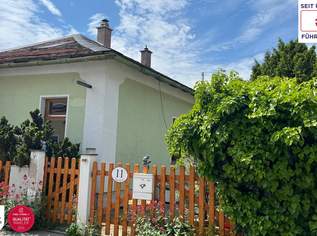 Basteltraum mit Garten-Wohnen im Herzen von Baden, 499000 €, Immobilien-Häuser in 2500 Gemeinde Baden Basteltraum mit Garten-Wohnen im Herzen von Baden, 499000 €, Immobilien-Häuser in 2500 Gemeinde Baden
