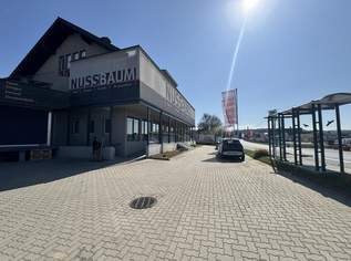Attraktive Büro- und Geschäftsflächen in Top-Lage, 5655 €, Immobilien-Gewerbeobjekte in 8071 Hausmannstätten