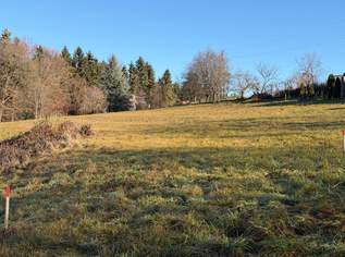 „Seltene Gelegenheit: 1.115 m² Baugrund in Ruhelage – Schemerlhöhe bei Laßnitzhöhe“, 199000 €, Immobilien-Grund und Boden in 8076 Vasoldsberg