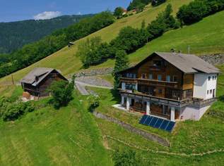 Landwirtschaft mit traumhafter Südhanglage!, 690000 €, Immobilien-Gewerbeobjekte in 9754 Steinfeld