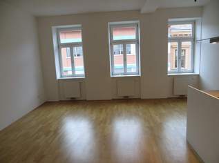 Attraktive 1-Zimmer-Wohnung nahe zum Waldmüllerpark, 662.63 €, Immobilien-Wohnungen in 1100 Favoriten