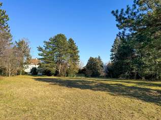Ein Ort von Seltenheitswert in Wiener Bestlage., 4750000 €, Immobilien-Häuser in 1230 Liesing