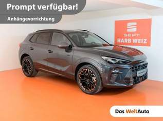 Terramar 2.0 TSI 204 PS DSG 4Drive, 46990 €, Auto & Fahrrad-Autos in 8160 Weiz