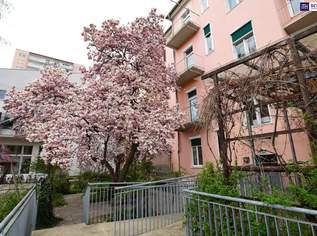 Neuer Preis! Urbanes Refugium im Herzen von Graz - Ideal für Airbnb, Booking.com & Hotelbetrieb | 15 Zimmer | Frühstücksraum | Grüner Innenhof | Tiefgarage, 1990000 €, Immobilien-Gewerbeobjekte in 8010 Neuer Preis! Urbanes Refugium im Herzen von Graz - Ideal für Airbnb, Booking.com & Hotelbetrieb | 15 Zimmer | Frühstücksraum | Grüner Innenhof | Tiefgarage, 1990000 €, Immobilien-Gewerbeobjekte in 8010