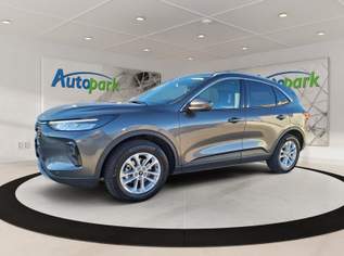 Kuga Titanium Hybrid FHEV AWD, 33790 €, Auto & Fahrrad-Autos in 6020 Innsbruck Kuga Titanium Hybrid FHEV AWD, 33790 €, Auto & Fahrrad-Autos in 6020 Innsbruck