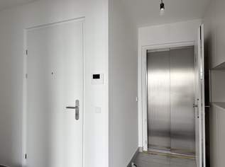 Befristet vermietetes Penthouse in ruhiger Lage, 1395000 €, Immobilien-Wohnungen in 1220 Donaustadt