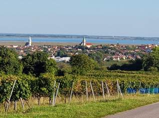 Großzügige Familienwohnung in der Storchenstadt Rust am See, 295000 €, Immobilien-Wohnungen in 7071 Rust Großzügige Familienwohnung in der Storchenstadt Rust am See, 295000 €, Immobilien-Wohnungen in 7071 Rust