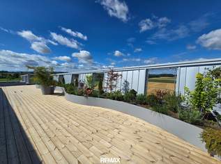 Erstbezug: Hochwertige und barrierefrei erreichbare Büroflächen in sehr guter Verkehrslage (M1), 0 €, Immobilien-Gewerbeobjekte in 4715 Taufkirchen an der Trattnach