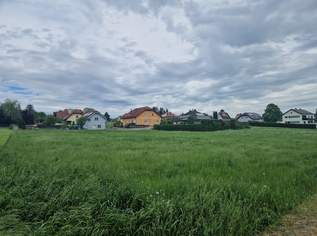 GELDANLAGE OHNE BAUZWANG MIT BAUTRÄGEREIGNUNG ODER IHR GRUNDSTÜCK FÜR EIN TRAUMHAUS IN ERNSTBRUNN, 270400 €, Immobilien-Grund und Boden in 2115 Ernstbrunn GELDANLAGE OHNE BAUZWANG MIT BAUTRÄGEREIGNUNG ODER IHR GRUNDSTÜCK FÜR EIN TRAUMHAUS IN ERNSTBRUNN, 270400 €, Immobilien-Grund und Boden in 2115 Ernstbrunn