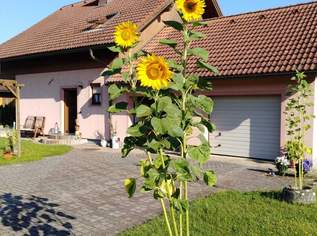 Ihr neues Zuhause in Gralla – Leicht sanierungsbedürftiges Einfamilienhaus mit viel Platz, Ruhe und Möglichkeiten, 399000 €, Immobilien-Häuser in 8431 Gralla
