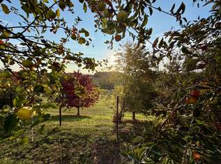 Vollsaniertes, stilvolles Anwesen in der Südoststeiermark (Provisionsfrei), 2150000 €, Immobilien-Häuser in 8280 Fürstenfeld