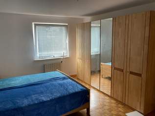 Haus nähe Gewerbepark Stadlau, 500000 €, Immobilien-Häuser in 1220 Donaustadt