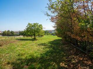 Großzügiges Grundstück in ruhiger Lage!, 590000 €, Immobilien-Grund und Boden in 7083 Purbach am Neusiedler See