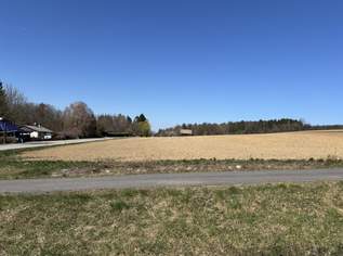 7.800 m² Baugrund in idyllischer Lage, umgeben von Rad-und Wanderwegen im mittleren Burgenland, 172000 €, Immobilien-Grund und Boden in 7441 Gemeinde Pilgersdorf