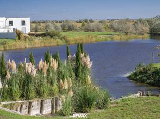 Traumgrundstück mit direktem Seezugang und Weitblick, 290000 €, Immobilien-Grund und Boden in 7063 Oggau am Neusiedler See