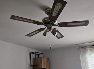 Neuwertiger Deckenventilator modern leise kaum hörbar wunderschön in dezenten gold und braun dringend zu verkaufen, 150 €, Haus, Bau, Garten-Geschirr & Deko in 2640 Gemeinde Gloggnitz