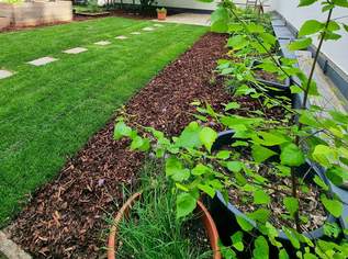 Secret Garden - Erstbezug! TOP saniert + Herrlicher Eigengarten + Hofseitiger Balkon + Viel Grün + Viel Lebensqualität + Absolute Ruhelage + Ideale Raumaufteilung! Besser geht´s nicht! Nicht lange zögern..., 549000 €, Immobilien-Wohnungen in 1180 Währing