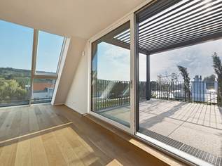 Penthouse mit Blick in die Weinberge, 2370000 €, Immobilien-Wohnungen in 1190 Döbling