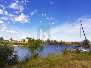 DIREKTER WASSERZUGANG - UNVERBAUBARER SEEBLICK - BOOTSSTEG MÖGLICH, 349000 €, Immobilien-Grund und Boden in 7063 Oggau am Neusiedler See DIREKTER WASSERZUGANG - UNVERBAUBARER SEEBLICK - BOOTSSTEG MÖGLICH, 349000 €, Immobilien-Grund und Boden in 7063 Oggau am Neusiedler See