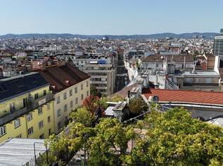 Blick über Wien I 3 Außenflächen I ca. 67 m² beeindruckender Wohn-Essbereich I Lift I Klimaanlage I, 1490000 €, Immobilien-Wohnungen in 1040 Wieden