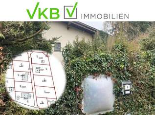 Naturnah & ruhig: Grundstück mit Altbestand in Spattendorf - Gemeinde Alberndorf in der Riedmark (GST 2438/1), 216773 €, Immobilien-Grund und Boden in 4211 Spattendorf