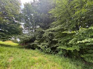 Idyllisches Grundstück am Ende einer Sackgasse – sonniger Bauplatz mit eigenem Wald