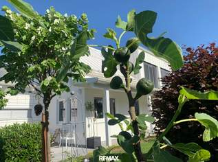 Luxusanwesen mit Wohlfühloasen, 1600000 €, Immobilien-Häuser in 4813 Altmünster Luxusanwesen mit Wohlfühloasen, 1600000 €, Immobilien-Häuser in 4813 Altmünster