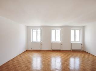 Angemessener Mietzins! Top aufgeteilte Einraumwohnung in Favoriten!, 169000 €, Immobilien-Wohnungen in 1100 Favoriten