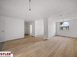 Faire Preise im Herzen von Traiskirchen, 349000 €, Immobilien-Wohnungen in 2514 Katastralgemeinde Traiskirchen Faire Preise im Herzen von Traiskirchen, 349000 €, Immobilien-Wohnungen in 2514 Katastralgemeinde Traiskirchen