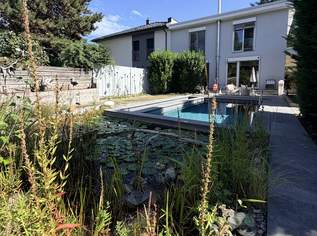 Traumhaus mit Pool, 669000 €, Immobilien-Häuser in Niederösterreich Traumhaus mit Pool, 669000 €, Immobilien-Häuser in Niederösterreich